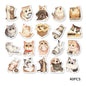 40pcs Cute Animal House Sticker Set for Laptops, Water Bottles, Suitcases, Phone Cases, Scrapbooking Crafts, Kids Stickers