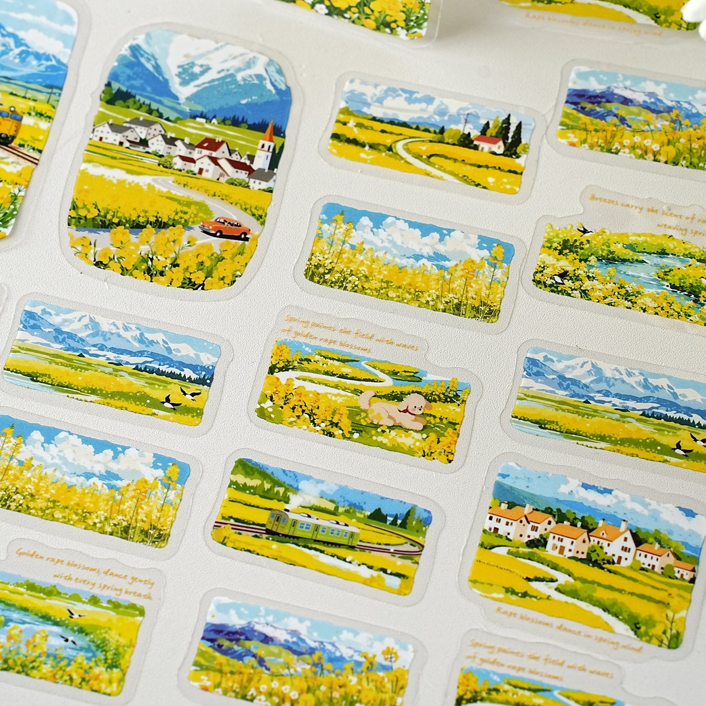 Etori Life 30PCs Spring Rape Flower Pastoral Stickers Landscape Notebook Collage Landscaping Material Suitable for DIY Production, Laptop, Skateboard, Luggage, Guitar, Photo Album, Handmade Scrapbooking Supplies, Room Decoration, Birthday and Holiday